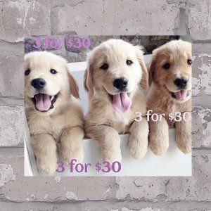 🎉🛍💰 $3 for $30 Items!!!! Great buy!!! Yeah!!!